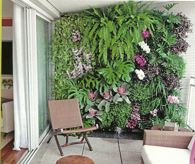FENG SHUI: COMO USAR PLANTAS NA SUA CASA